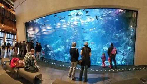 New modern Nordic style home, View, Rooftop deck - Foto 5