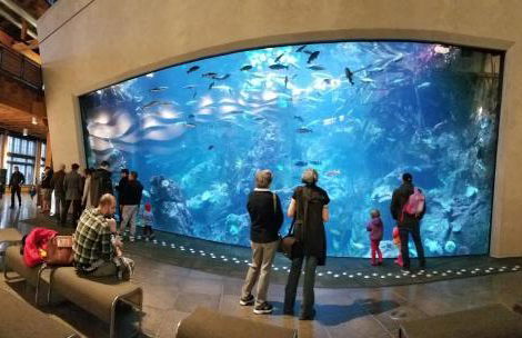 Modern Home, Rooftop view, 3 block Beacon station - Foto 27