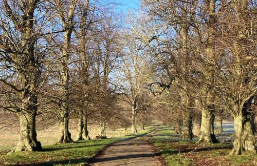 Gertys Getaway - Foto 20