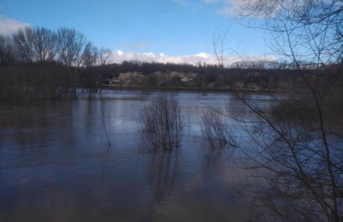 La Maison Bleue de Husseau Ancienne ferme semi-troglodytique 18e siècle - Foto 41