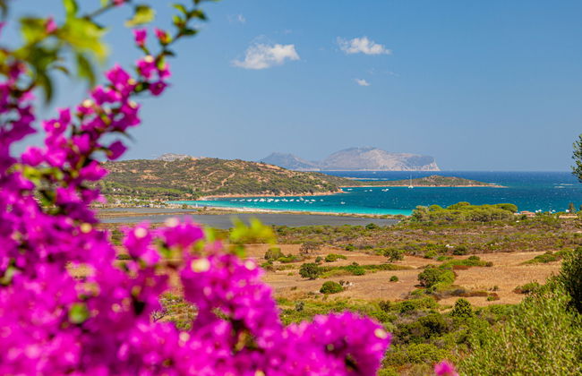 Mono 2 - Lu Nibareddu - Foto 17