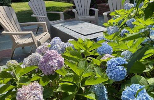 The Dragonfly - Planting Island - Photo 43