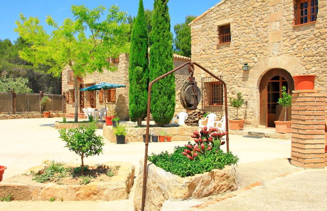 Mas del Cigarrer - Foto 47