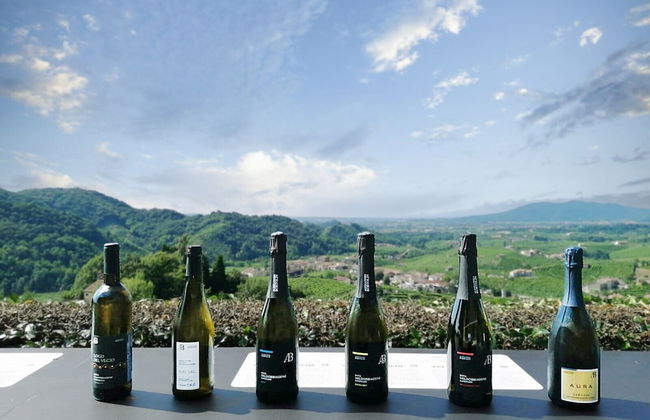 AGRITURISMO B&B CASA BORTOLIN - Foto 15