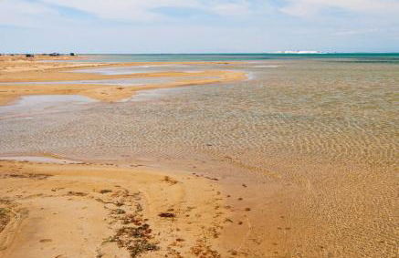 LA PAU DEL DELTA - Foto 49