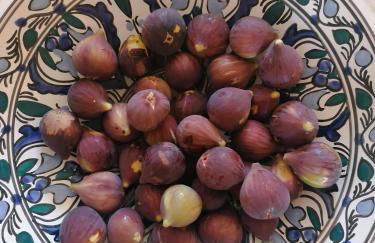 Agriturismo Baglio Calanchi - Foto 52