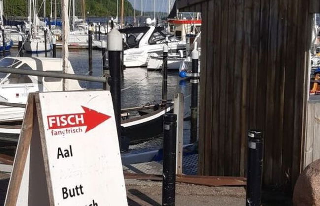 Old Pilot's House - Foto 25