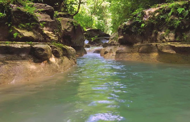 Los Charcos de Damajagua Day Trip - Foto 2