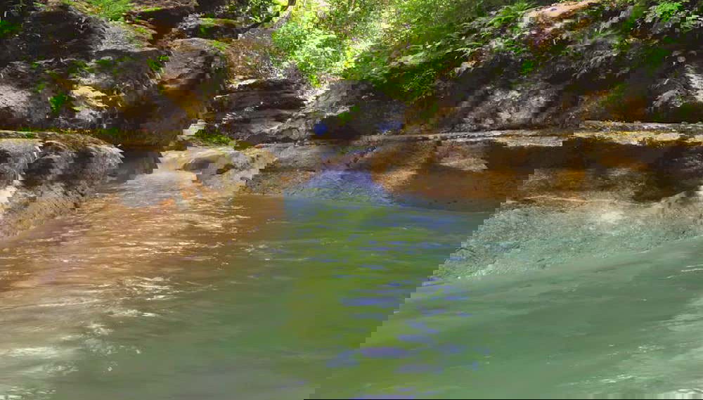 Contemplando il paesaggio