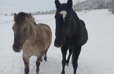 Idzikowianka - Foto 18