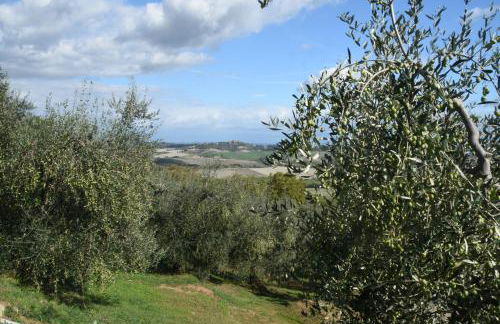 LA CASA DI CHIANNI La Pieve - Foto 51