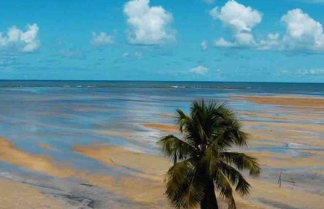 Casa Tatuamunha Beach - Foto 49