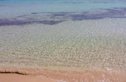 Villa Laura Salento - Foto 48