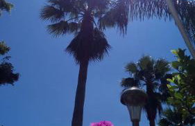 Holiday Maison Villa Arci - Foto 3