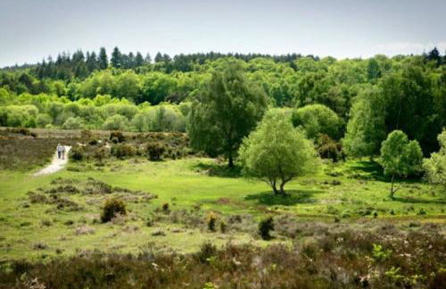 South Coast New Forest Holiday Home-4 Bed-Sleeps 8-Spacious-Parking-EV Dock-Large Garden-Playground-Great for Families-Groups-Professionals - Foto 37