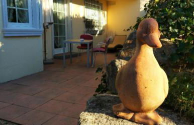 Ferienwohnungen Kamino - Foto 22