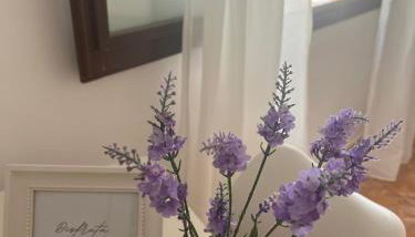 Tranquilo apto ideal paraTurismo Rural y Relax - Foto 5