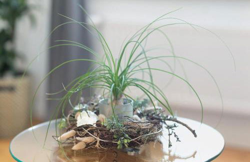 Fewo Feldmann Auf Der Mauer - Foto 17