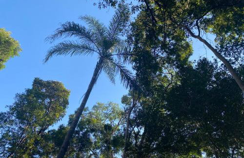 Casa de campo com muito verde e paz, 2 quartos, Wi-Fi, churrasqueira, deck, trilha - Foto 44