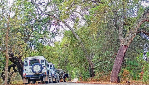 Super Day- Jeep Tour + Arade River Cruise - Foto 2