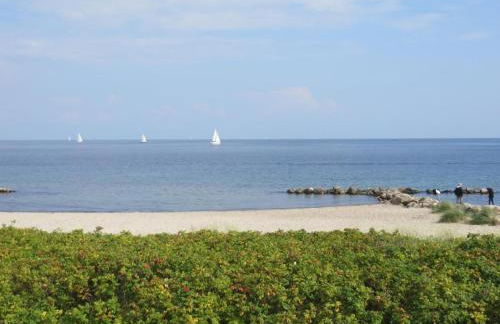 Apartment Boardinghouse Kappeln - Familien Studio by Interhome - Photo 7