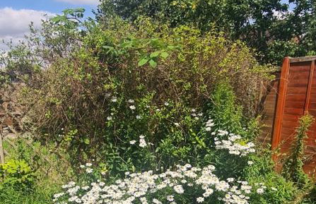 Gorgeous 2 bedroom Kintbury cottage - Foto 32