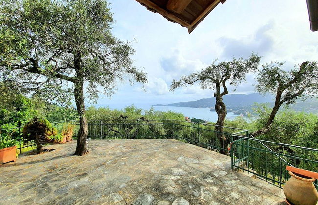 Villino degli Ulivi - Foto 1