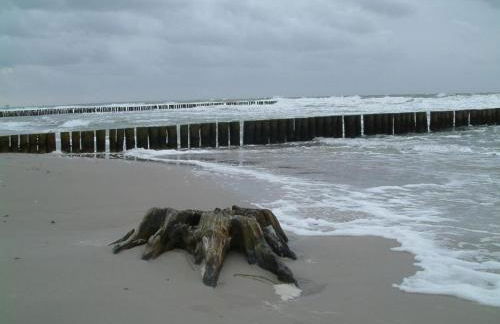 Wohnung nahe Ostsee Graal Müritz - Photo 25