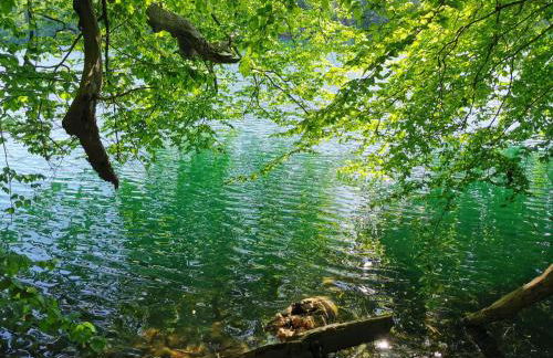 Tweet Tohuus - Foto 17