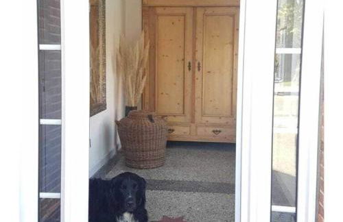 FeWo Nero Comfortable holiday residence - Foto 11