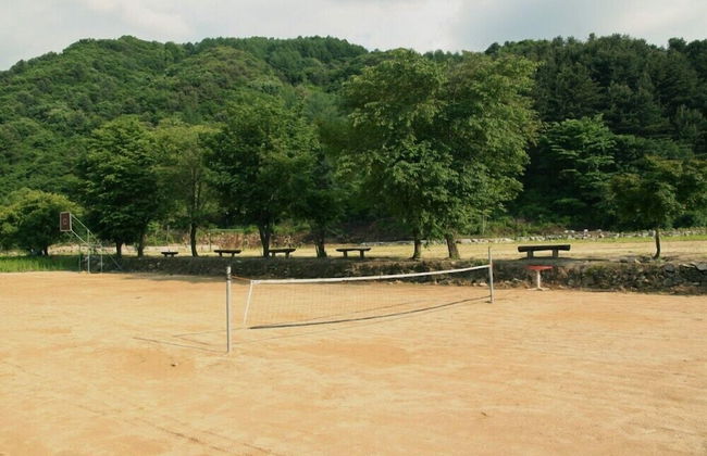 Hurb Green - Foto 67