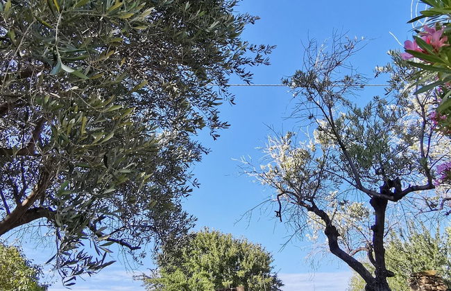 Welcomely - La Casa Di Rita - Sa Capannizza - Photo 28