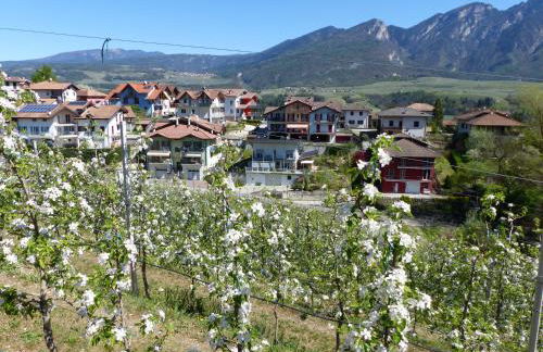 Casa Clima Tandem - Foto 15