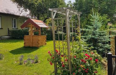 Oliwkowe Jerzykowo -klimatyzacja - Photo 12