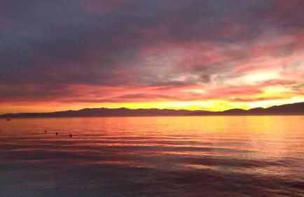 Black Rock Agria - Foto 32