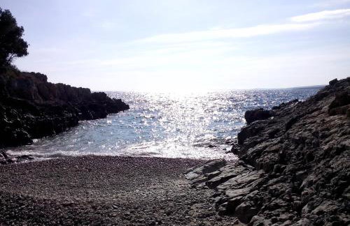 Sea apartment by beach Vine, olive oil tasting, kajaks, grill - Photo 59