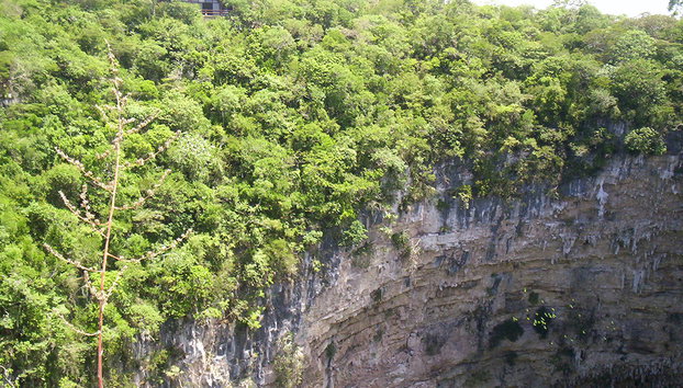 Sima de las cotorras - Foto 5