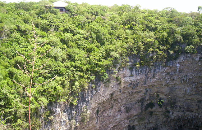 Sima de las Cotorras - Foto 5