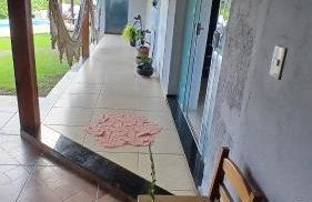 Sítio meninas do vovô - Photo 43