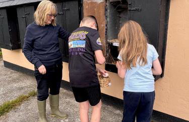 Torridge House Cottages - Foto 41