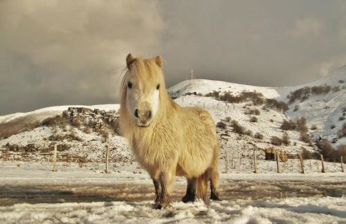 Casa Rural Aldekoa - Foto 44
