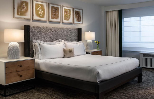 Glover Park - Georgetown - Foto 18