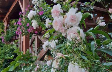 Dziki brzeg Jezioraka - Foto 28