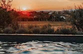 The Olive Grove in Tuscany - Foto 10