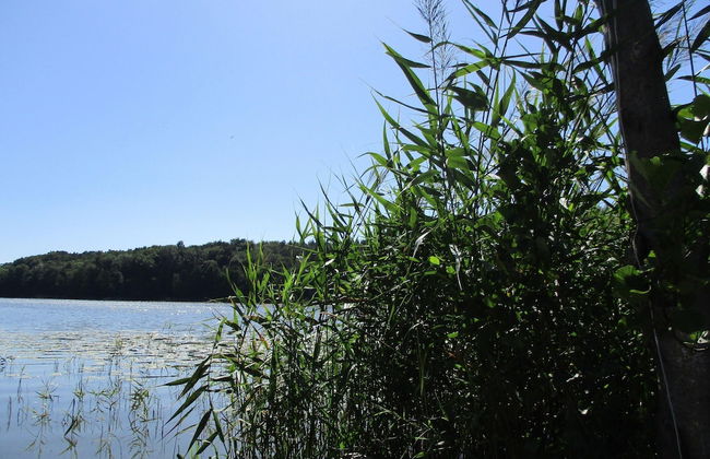 Holiday Flat in Kolczewo-70 qm for 6 Persons - Foto 16