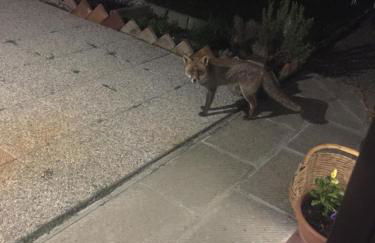 Casa Camporino - Foto 54