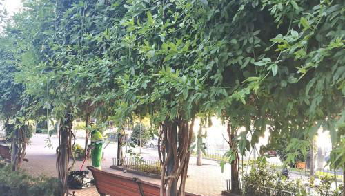 LOFT 2 DORMITORIOS - Foto 2