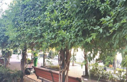 LOFT 2 DORMITORIOS - Foto 2