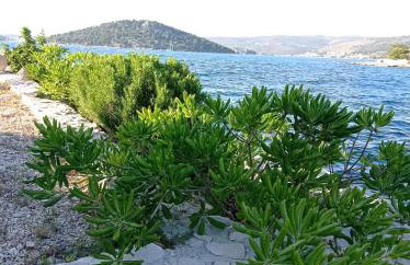 Villa Sunshine - Foto 1
