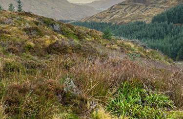 An Dòbhran - luxury self-catering - Foto 32